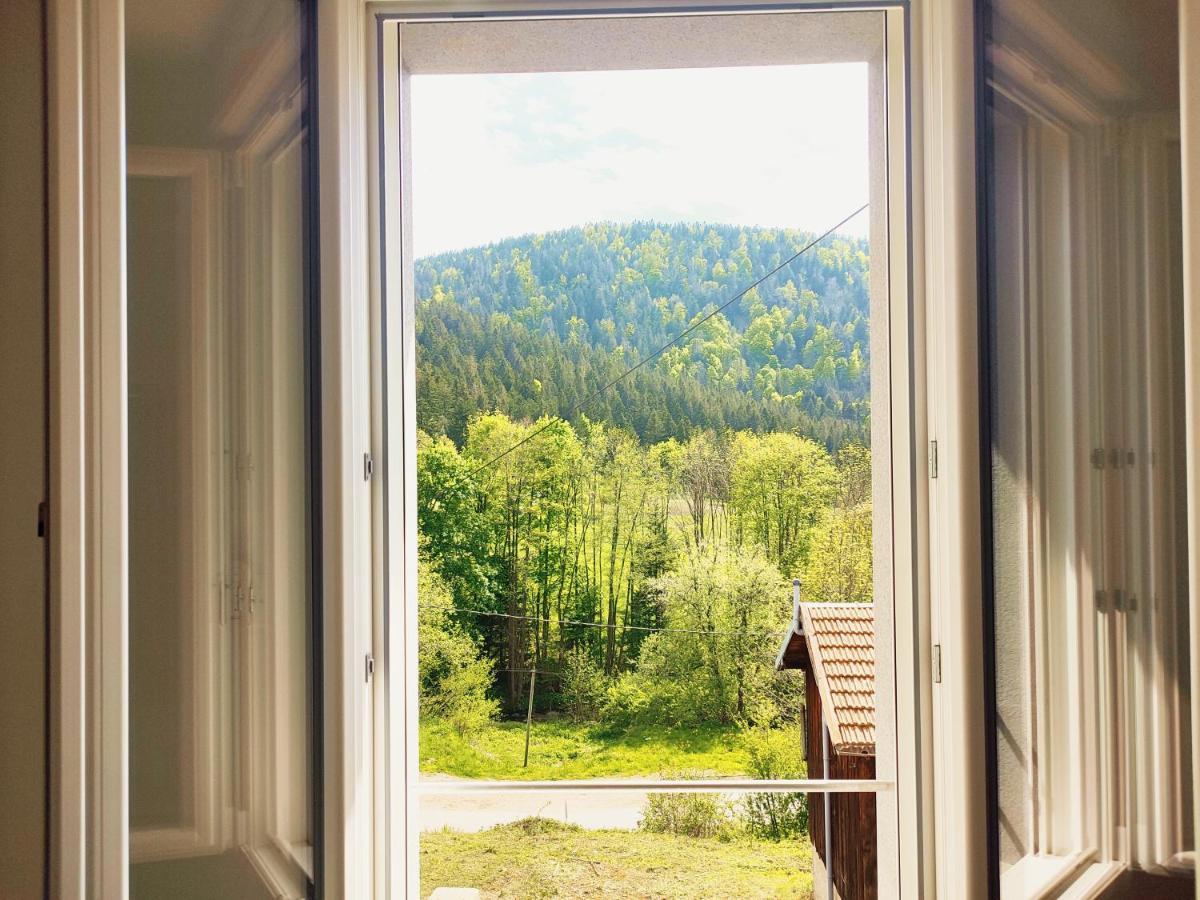 ⁂⁂ Le Chamois Appartement Cledicihome / Magnifique Vue Sur Les Montagnes / 4 Kms De Gerardmer ! ⁂⁂ Rochesson Exteriér fotografie