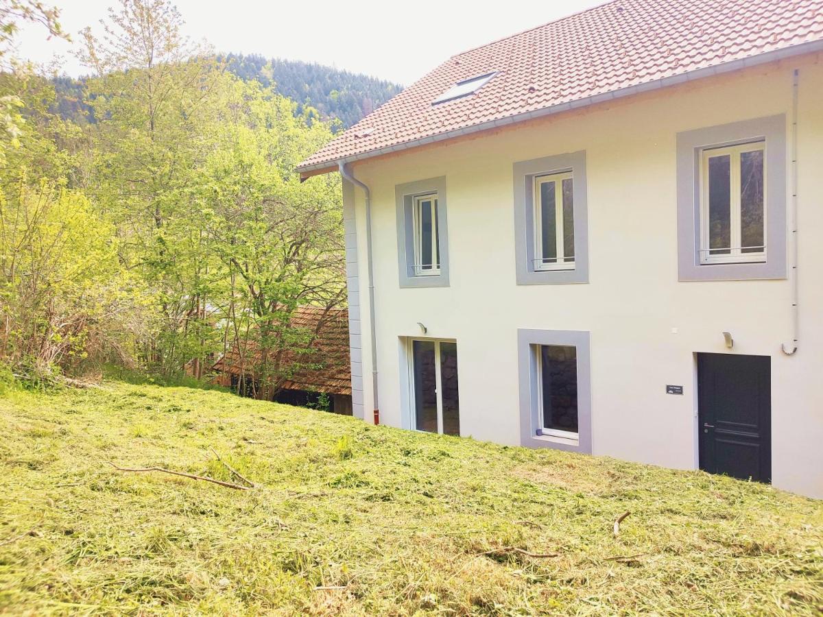 ⁂⁂ Le Chamois Appartement Cledicihome / Magnifique Vue Sur Les Montagnes / 4 Kms De Gerardmer ! ⁂⁂ Rochesson Exteriér fotografie